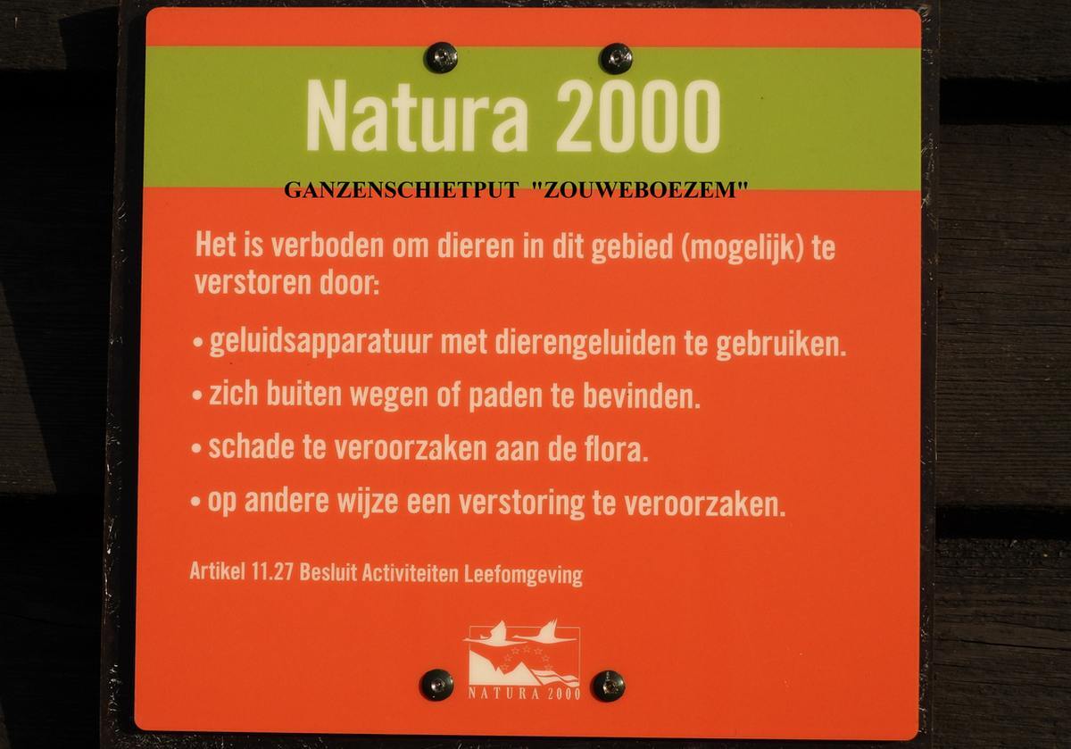 ganzenschietputzouweboezem22122025