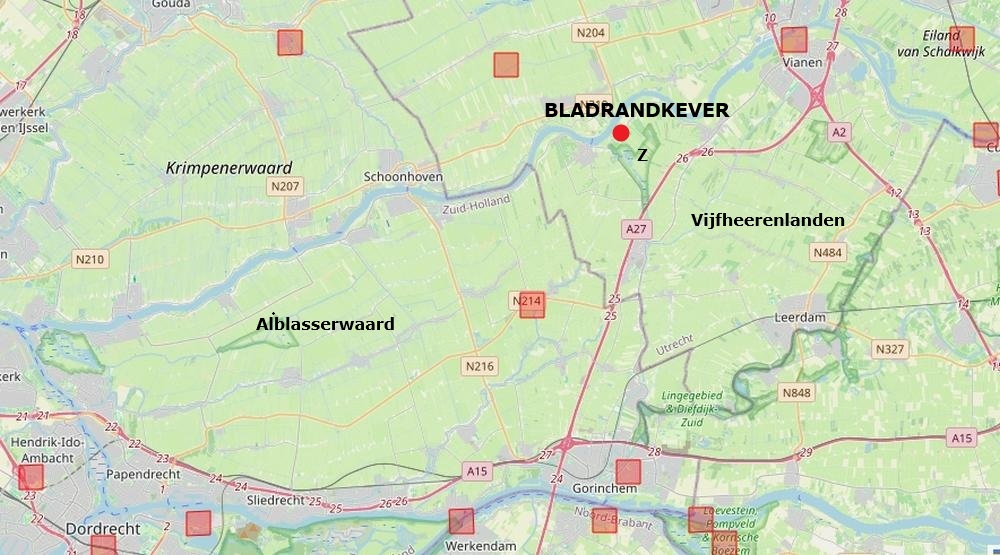 bladrandkever zouweboezemgebied02092026 kaart periode 2000 2026