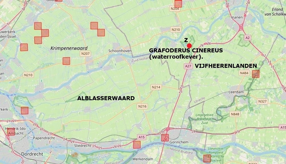 graphoderus cinereus zouweboezemgebied 11092026 kaart periode 2000 2026
