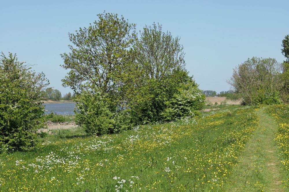 lekuiterwaardachthoven28042026 2