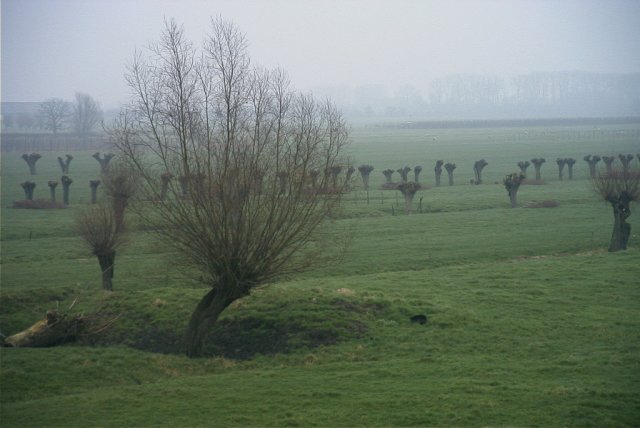 achthoven,_130204_(70)