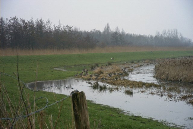 de_boezem,_140204_(4)