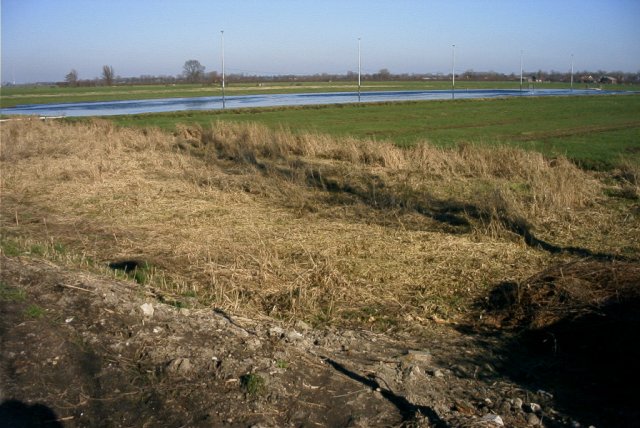 zouweboezem,_kelstrook_langs_de_oude_zederik,_moerassprinkhaanbitoop,door_verruiging_is_de_soort_verdwenen_200204_(8)