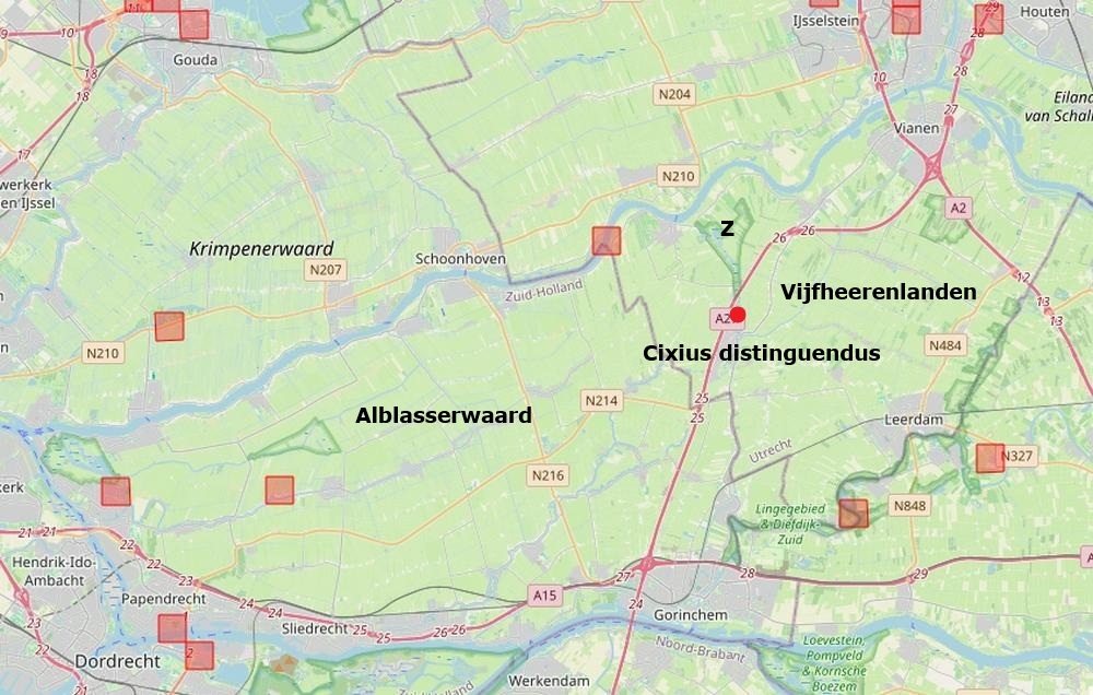 cixius distinguendus een glasvleugelcicade zouweboezemgebied03092026kaart periode 2000 2026