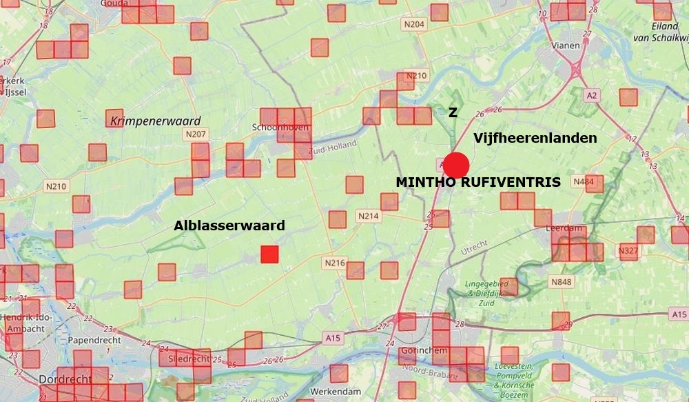 mintho rufiventris een sluipvlieg zouweboezemgebied 09092026 kaart periode 2000 2026