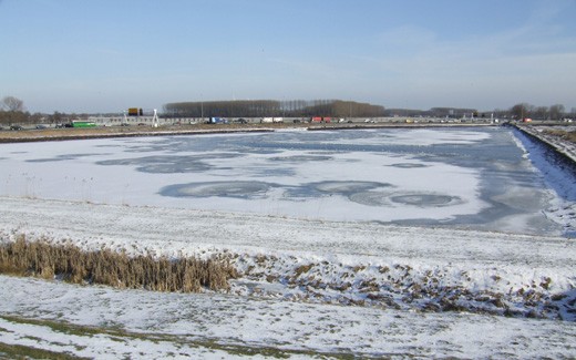 meeuwenplas_diefdijk_schoonrewoerd_120210.jpg
