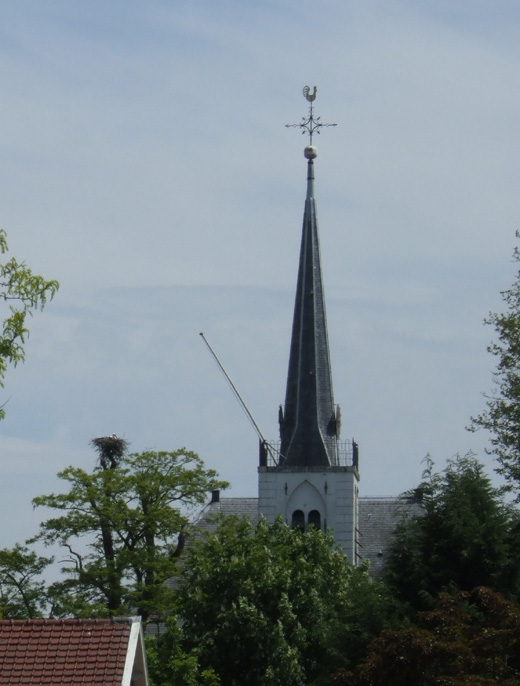 ooievaar_in_gewone_robinia_robinia_pseudoacacia_herv_kerk_meerkerk_290510_1.jpg ooievaar_in_gewone_robinia_robinia_pseudoacacia_herv_kerk_meerkerk_290510_1.jpg