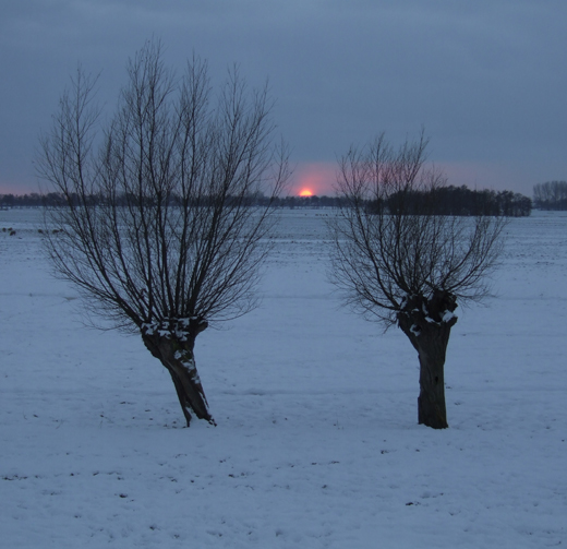 polder_middelbroek_meerkerk_25122010.jpg