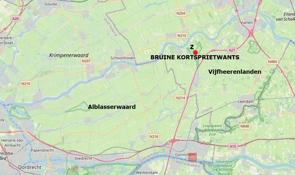 bruine kortsprietwants zouweboezemgebied 06102026 kaart periode 2000 2026