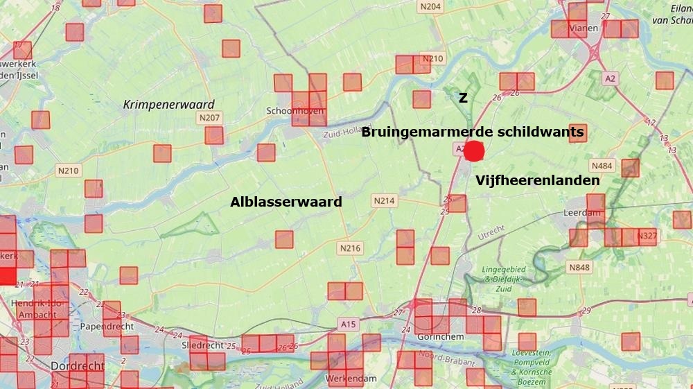 bruingemarmerdeschildwantszouweboezemgebied08092026 kaartperiode 2000 2026
