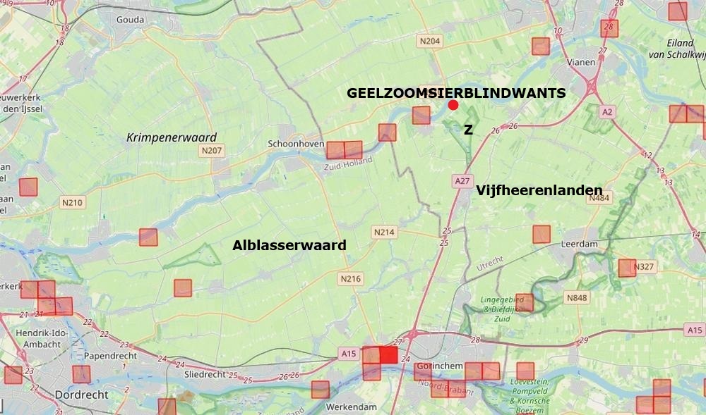 geelzoomsierblindwantsopakkerdistelzouweboezemgebied06092026kaartperiode2000 2026