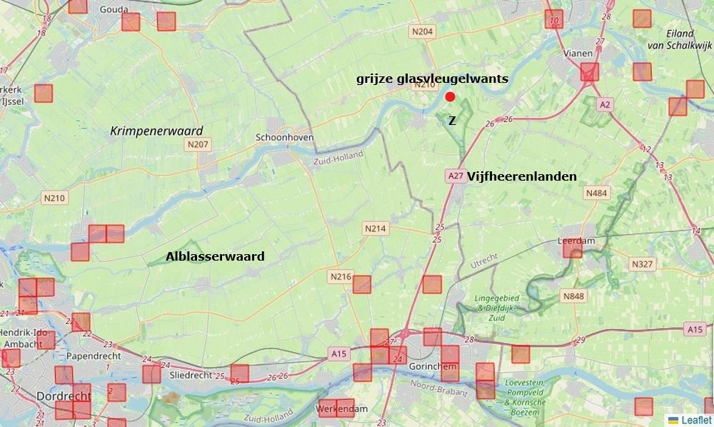 grijze glasvleugelwants zouweboezemgebied31072026 kaart periode 2000 2026