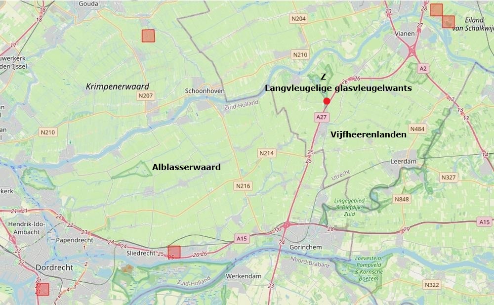 langvleugelige glasvleugelwants zouweboezemgebied31082026 kaart periode 2000 2026