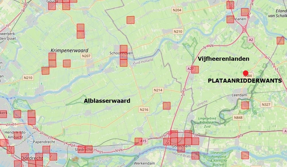 plataanridderwants schoonrewoerd 11022016