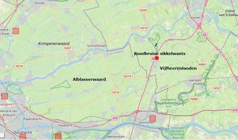 roodbruine sikkelwants zouweboezemgebied30082026kaartperiode2000 2026