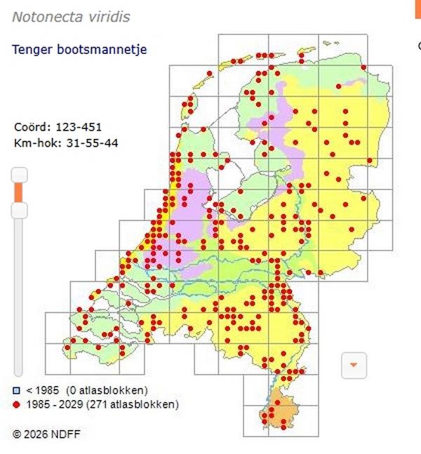 tenger bootsmannetje verspreidingskaart 1986 2026