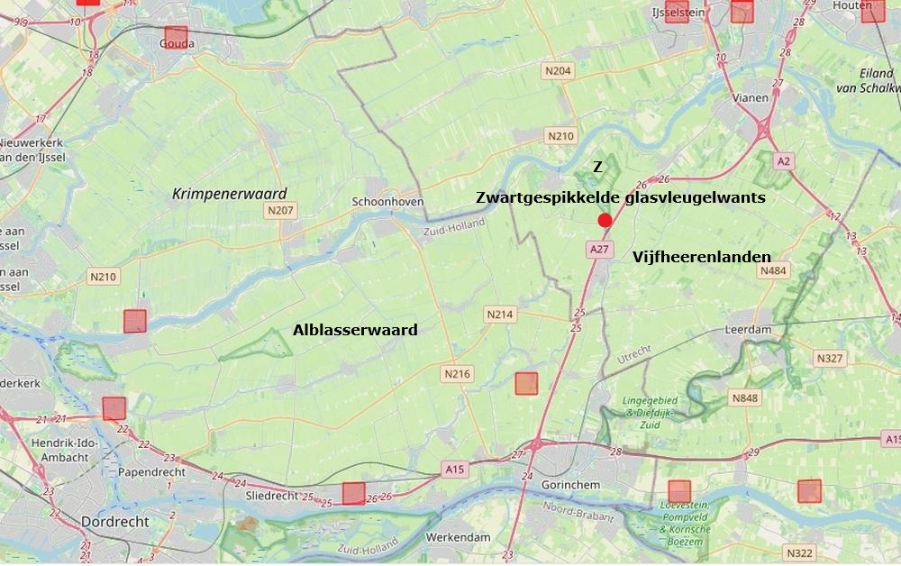 zwart gespikkelde glasvleugelwants zouweboezemgebied31082026kaartperiode2000 2026