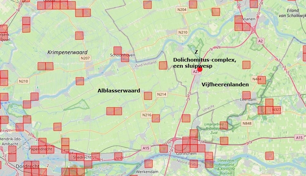 dolichomitus mesocentrus zouweboezemgebied24082026kaartperiode2000 2026
