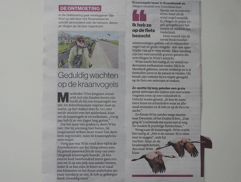 wimjongejankraanvogelsenooievaarsadrivierenlandde ontmoeting10022026